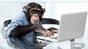 monkey typewriter.jpg
