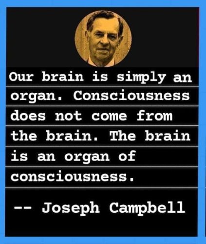 Consciousness-Brain.jpg